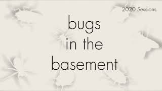 Bugs In The Basement - Tyrolichus Casei aka The Cheese Mite