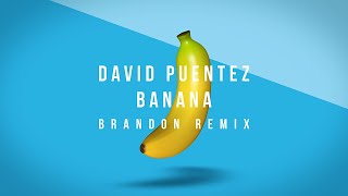 David Puentez - Banana (Brandon Remix) [Official Visualizer]