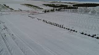 Video 3: Farm Overview