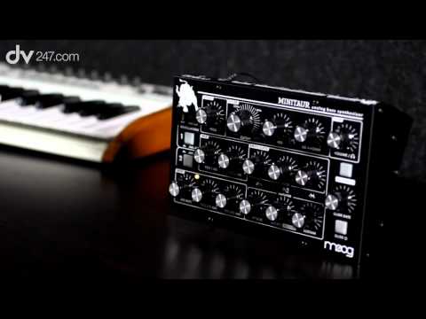 Moog Minitaur Analog Bass Synthesizer