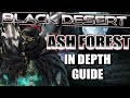 Ash Forest In DEPTH Guide