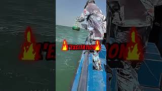 Une Énorme Capture En Mer Linstant De Vérité