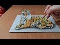 Trick Art, How to Draw a 3D Tiger, Time Lapse