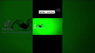 Spider Overlay