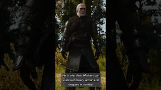 How Many Witcher Schools Are There? Witcher Lore