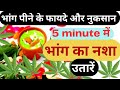 how to reduce bhang effect in hindi | bhang ke side effects | bhang ka nasha kaise utare