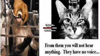 Slaughtered Society - Scientific Fraud.swf