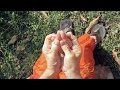 Learn Yoni Mudra for Puja and Meditation