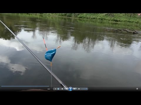 рыбалка на клязьме владимир видео рыбалка на клязьме владимир видео