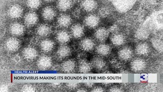 What is norovirus? Memphis doctor explains