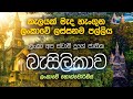 Piyawara - Basilica of Our Lady of Lanka, Ragama 25-12-2023