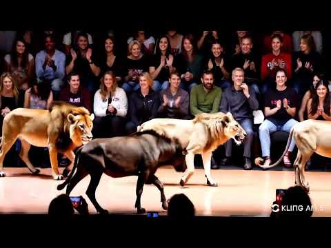 Standard Mode 16x9 A lion and a wildebeest walked g 2