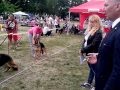 В группе потомков Риттерберга (Новороссийск