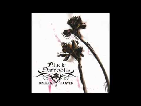 Broken Flower Video