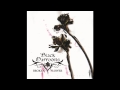 Broken Flower Video preview