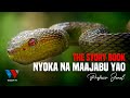 The Story Book NYOKA Na Mambo Yao Ya Ajabu  / Documentary: Unknown Facts About Snakes