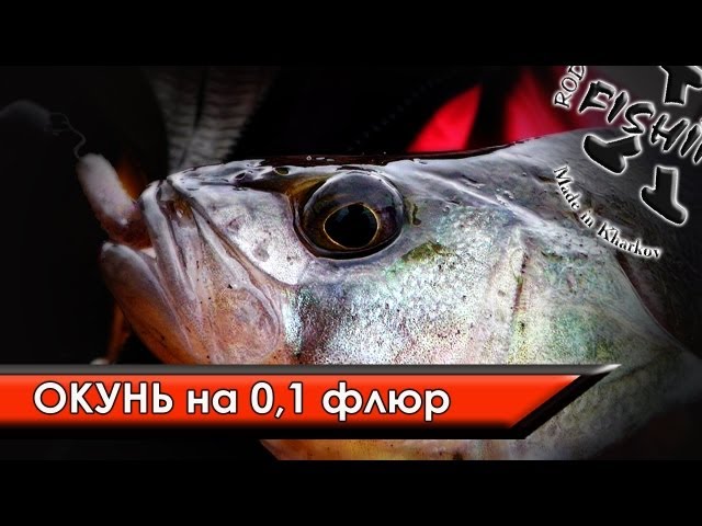 Видео о рыбалке №187