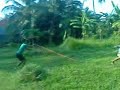 Tataran Smp Riborat 146 P Tree 371 Bogor images Tataran Smp Riborat 146 P Tree 371 Bogor