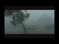 [Raw Video] Indian Cyclone ‎Hudhud Force Winds Snap off Tree Vizag