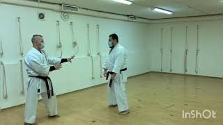 Hakucho Kata Hakutsuru Style Hakkaku Ken Training Bunkai Application