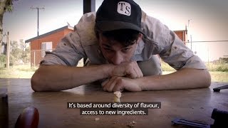 BUGS the film – teaser