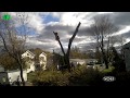 Stupid tree cutting mistakes (Prt 2)