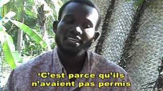 Haiti Jacmel Journals La Seson Des Mangues Video Report