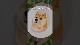 A Tribute To Doge Rest In Peace Kabosu