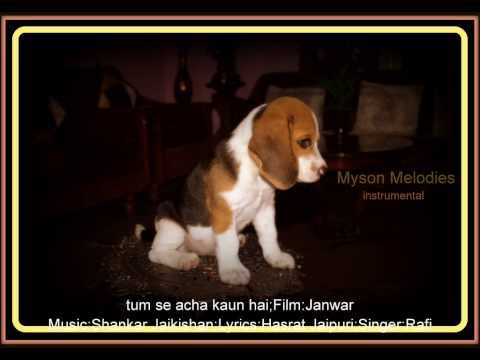 tum se acha kaun hai-instrumental;Film:Tum se acha kaun hai