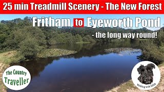The New Forest - Treadmill Scenery - a 25 minute virtual walk from Fritham to Eyeworth Pond 2022