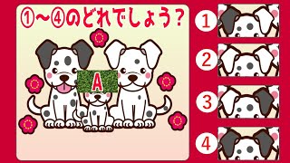 無料テレビで記憶脳トレを視聴する