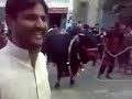 Eid ul azha qurbani