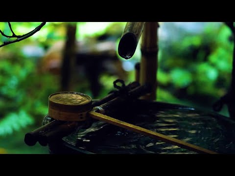 京都の風情に感激す。caede|L’ELISR カエデ・エリシア京都 伝統美のインスピレーション[KYOTO inspiration 4K movie]