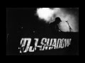 DJ Shadow & Cold Cut Live On Solid Steel