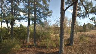 Cheap Land for Sale in Alabama – 3.98 Commercial Acres – Bessemer, AL 35020