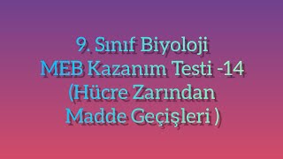 9. Sınıf Biyoloji MEB Kazanım Testi -14