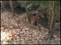 Lovecké video
