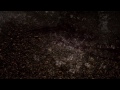 N Tl K Entelechy Short Art Movie 2013
