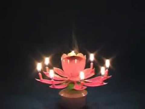 Musical Lotus Birthday Candle partysparx - YouTube