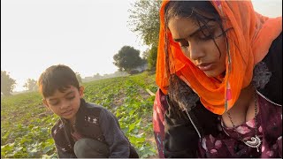 गव म दस खन खत म स पलक और बथआ लई