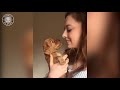 "Ôi động vật" Cười vỡ bụng với những Video hay nhất năm 2018