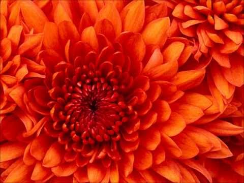 Daikha (Dekha) Tum Ko to Yeh Jana Sanam (rare song but best...