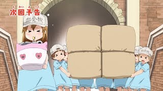 Cells at Work! video 8