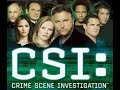 Sigla CSI: Las Vegas
