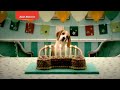 Bob Martin - 'For The Love Of Dogs' - ITV1 - Sponsorship Bumper - 5 secs