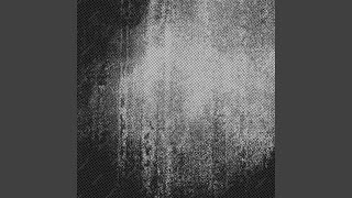 Shame - Og 2021