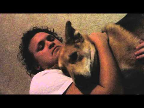 Beastly Magic Leisure Video