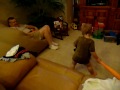 Chase abuses Papaw.MOV