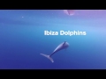 Angels of the Sea - Ibiza Dolphins