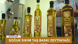 Taş Baskı Zeytinyağı Nedir? Taş Baskı Soğuk Sıkım Zeytinyağı Nasıl Üretilir?